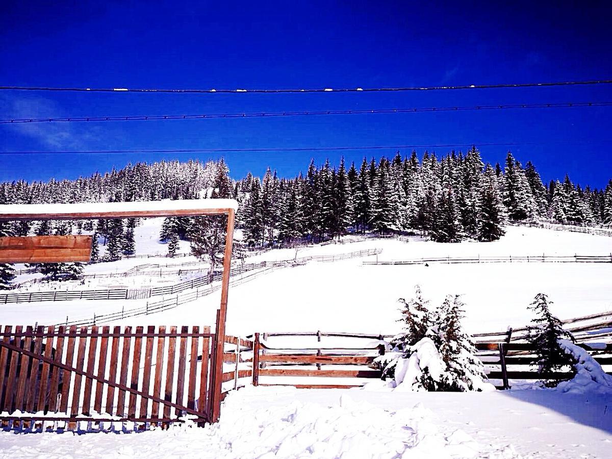 Nexus Kulcsoshaz Bukkloka Gyimes Guest House Fagetel Bagian luar foto