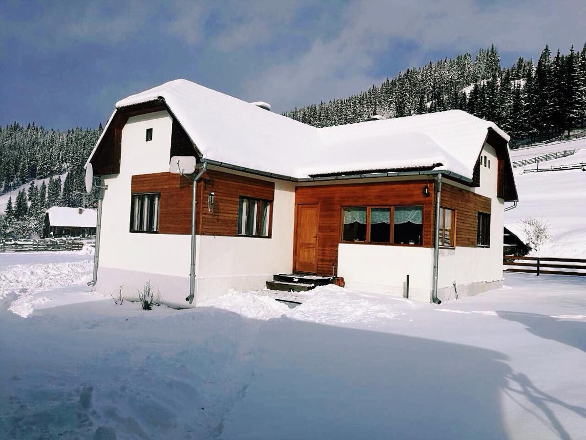 Nexus Kulcsoshaz Bukkloka Gyimes Guest House Fagetel Bagian luar foto