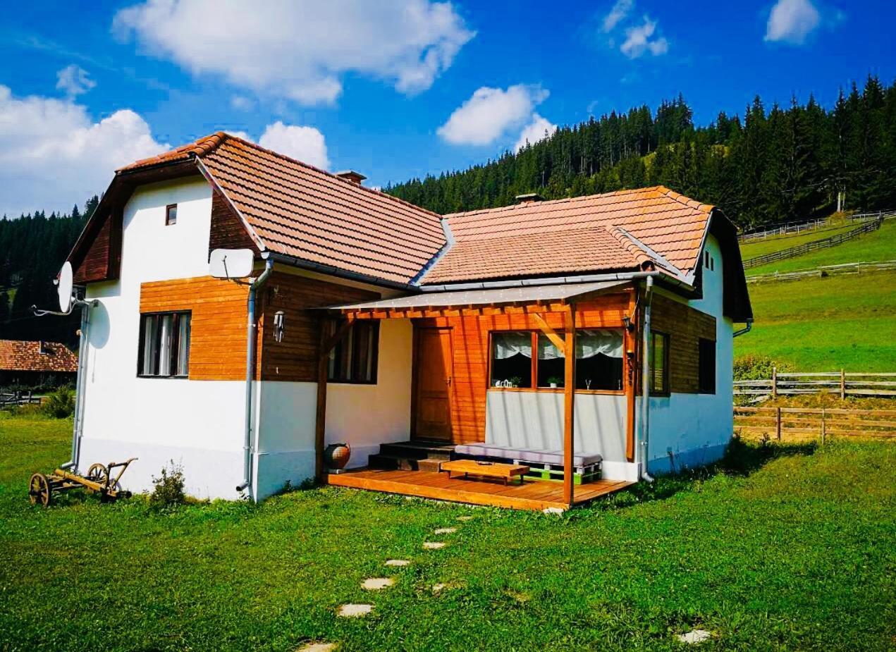 Nexus Kulcsoshaz Bukkloka Gyimes Guest House Fagetel Bagian luar foto